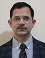 Dinesh Badyal
                            Director